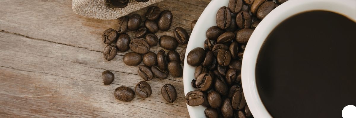 Kahve Kültürü Rehberi